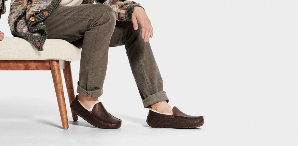 Ugg Slippers Canada - Ugg Men's Ascot Leather Brown